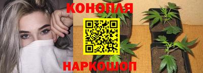 дмт Бузулук