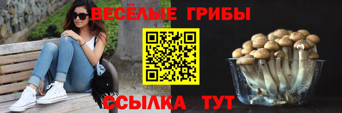 Кизилюрт  цены наркотик  Вход с VPN  Псилоцибиновые грибы Cubensis 